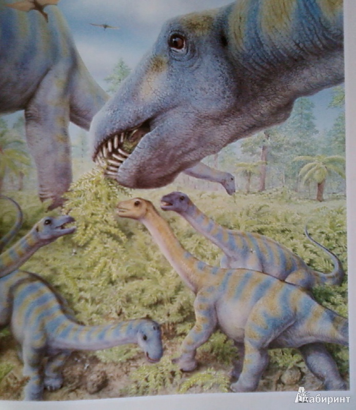 Иллюстрация 12 из 47 для В поисках динозавра - Николас Харрис | Лабиринт - книги. Источник: Лилия белая