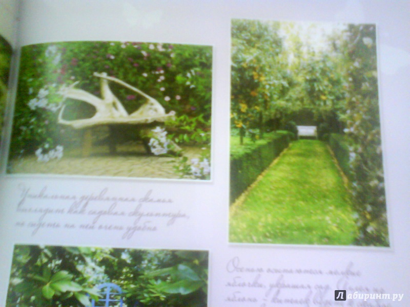 Иллюстрация 7 из 18 для Мой прекрасный сад - Татьяна Шиканян | Лабиринт - книги. Источник: Мила