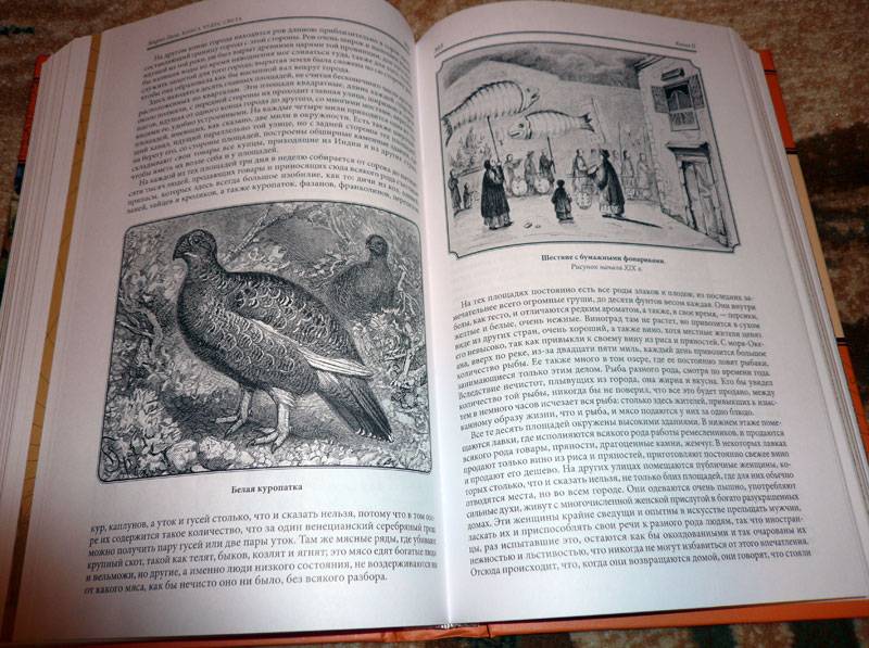 Иллюстрация 39 из 56 для Книга чудес света - Марко Поло | Лабиринт - книги. Источник: Кнопа2