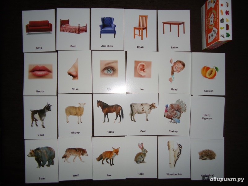 Иллюстрация 7 из 21 для Набор карточек № 1 "Учу английские слова" (70 развивающих карточек) | Лабиринт - игрушки. Источник: Маймуна