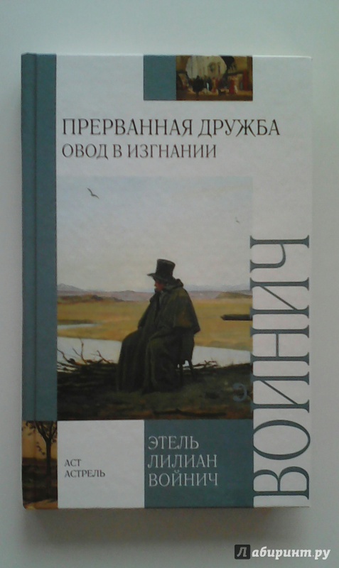 Иллюстрация 22 из 34 для Прерванная дружба - Этель Войнич | Лабиринт - книги. Источник: M-Mare