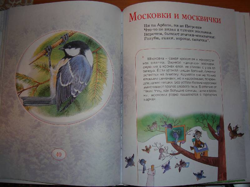 Иллюстрация 8 из 15 для На лесной полянке - Усачев, Тихонов | Лабиринт - книги. Источник: Нинуля