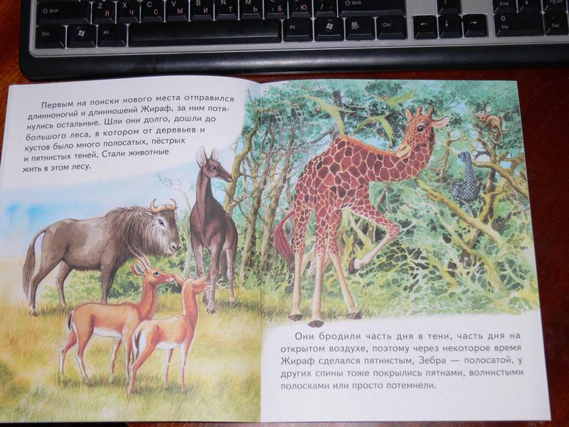 Иллюстрация 15 из 20 для Как леопард стал пятнистым - Редьярд Киплинг | Лабиринт - книги. Источник: Irbis