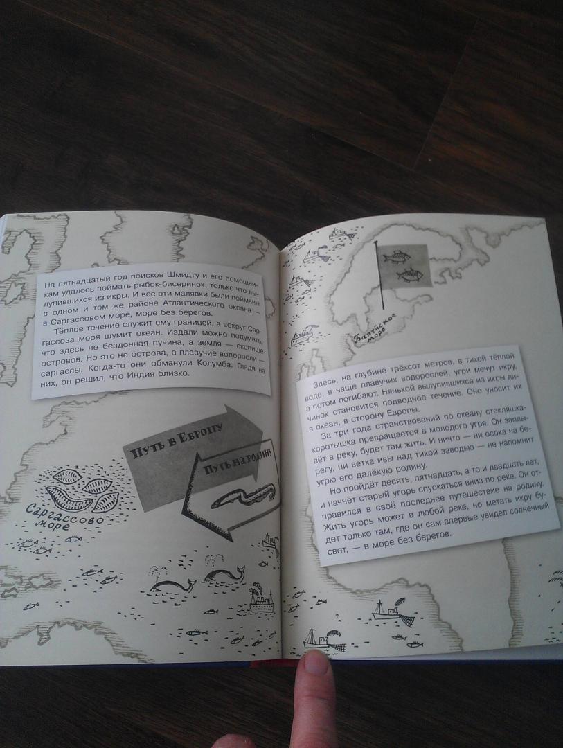 Иллюстрация 37 из 52 для "Моревизор" уходит в плавание, или Путешествие в глубь океана и пяти морей экипажа загадочного кораб - Надежда Надеждина | Лабиринт - книги. Источник: Шапошник  Наталья
