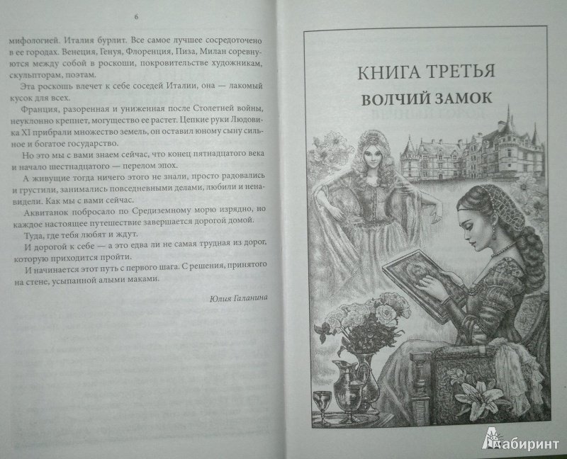Иллюстрация 5 из 7 для Принцесса лилий - Юлия Галанина | Лабиринт - книги. Источник: Леонид Сергеев
