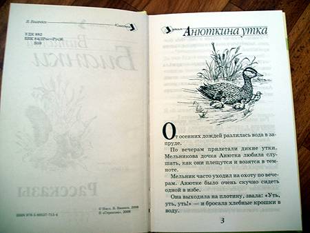 Иллюстрация 8 из 11 для Рассказы - Виталий Бианки | Лабиринт - книги. Источник: Galia