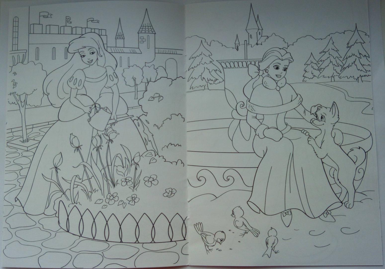 Иллюстрация 15 из 19 для Раскраска "Удивительные принцессы" | Лабиринт - книги. Источник: Моисеева  Наталья