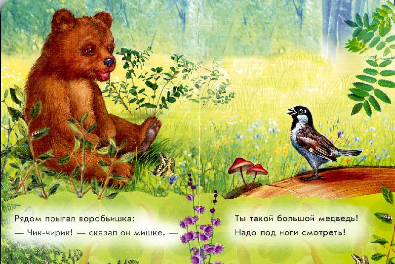 Иллюстрация 3 из 3 для Любимые зверята: Медвежонок - С. Зайцева | Лабиринт - книги. Источник: РИВА