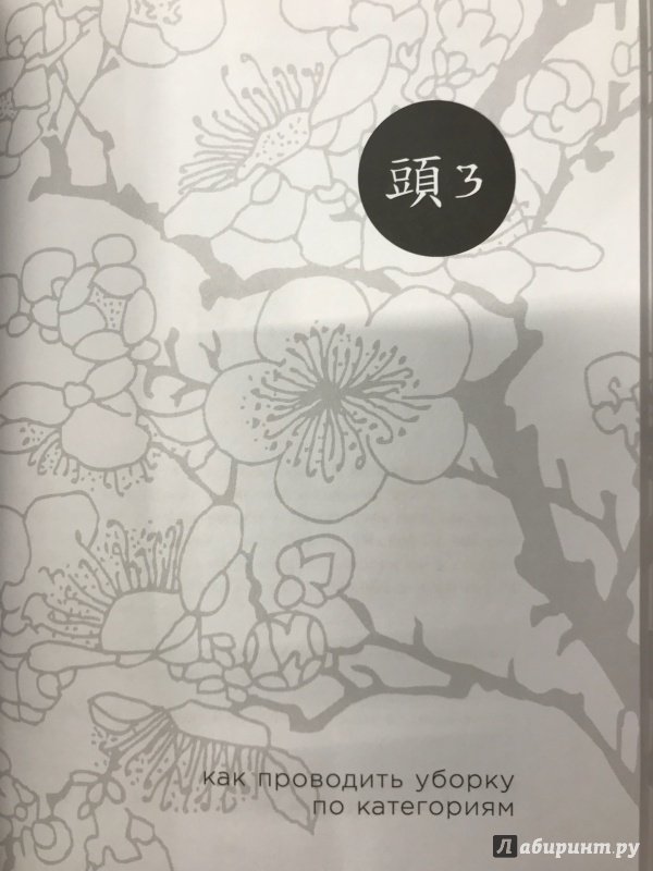 Иллюстрация 34 из 60 для Магическая уборка. Японское искусство наведения порядка дома и в жизни - Мари Кондо | Лабиринт - книги. Источник: Hello