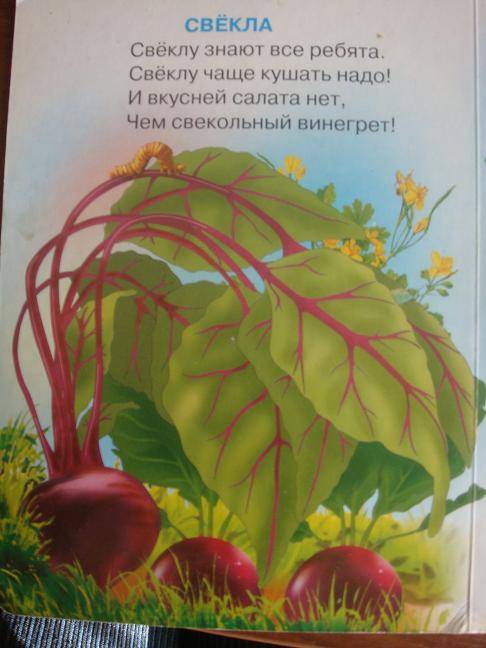 Иллюстрация 2 из 2 для Что растет в огороде - Нина Никитина | Лабиринт - книги. Источник: Дорофеева  Ольга