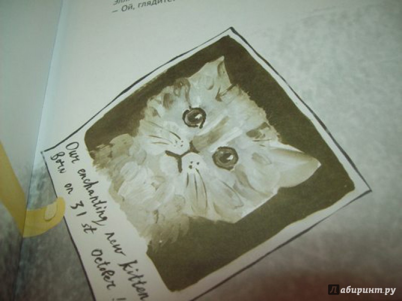 Иллюстрация 16 из 20 для Ответный удар кота-убийцы. День рождения кота-убийцы - Энн Файн | Лабиринт - книги. Источник: КошкаПолосатая