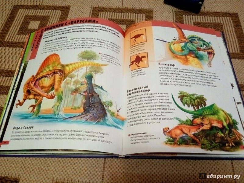 Иллюстрация 9 из 10 для Мир динозавров - Барбара Маевская | Лабиринт - книги. Источник: Лазурченко  Надежда