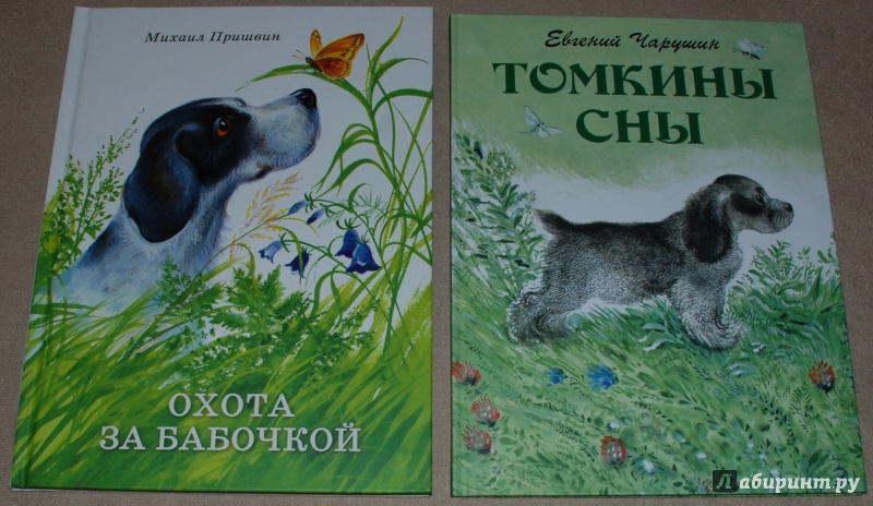 Иллюстрация 28 из 42 для Томкины сны - Евгений Чарушин | Лабиринт - книги. Источник: Книжный кот