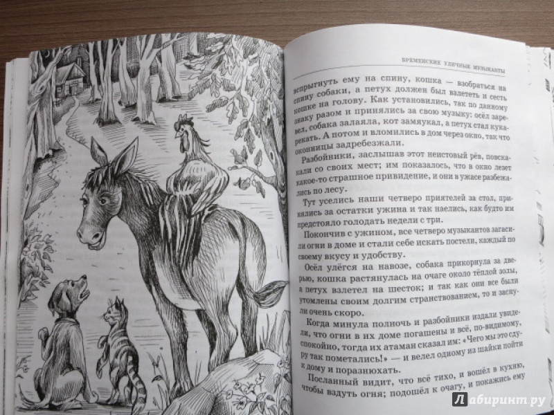 Иллюстрация 19 из 44 для Сказки зарубежных писателей - Андерсен, Перро, Гримм | Лабиринт - книги. Источник: Юта