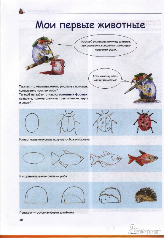 Иллюстрация 10 из 19 для Мои первые уроки рисования. Я умею рисовать животных! - Уте Людвиг-Кайзер | Лабиринт - книги. Источник: Трубадур
