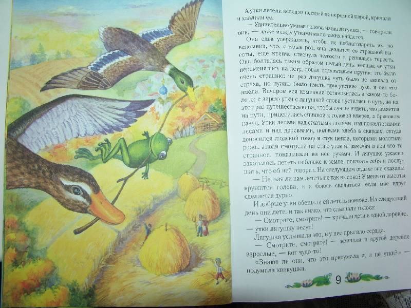 Иллюстрация 3 из 5 для Лягушка-путешественница - Всеволод Гаршин | Лабиринт - книги. Источник: Лаванда