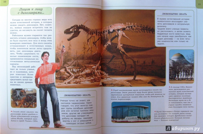 Иллюстрация 27 из 34 для Динозавры | Лабиринт - книги. Источник: Соловьев  Владимир