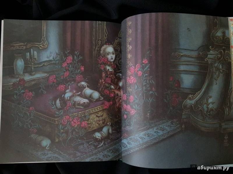Иллюстрация 18 из 61 для Мария-Антуанетта. Тайный дневник королевы - Бенжамен Лакомб | Лабиринт - книги. Источник: Анжелика