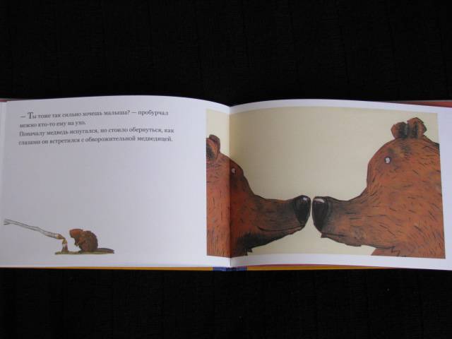 Иллюстрация 37 из 38 для Медвежье чудо - Вольф Эрльбрух | Лабиринт - книги. Источник: Nemertona