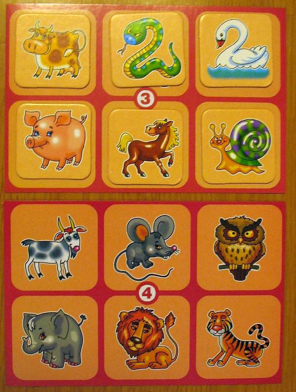 Иллюстрация 18 из 20 для Лото на английском, немецком языках "Игрушки и животные" (01150) | Лабиринт - игрушки. Источник: Машуня и К