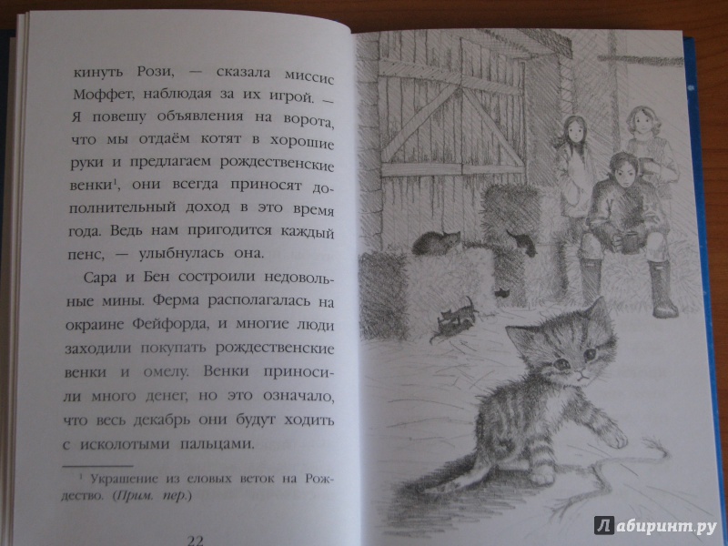 Иллюстрация 25 из 81 для Котёнок Пушинка, или Рождественское чудо - Холли Вебб | Лабиринт - книги. Источник: Штерн  Яна