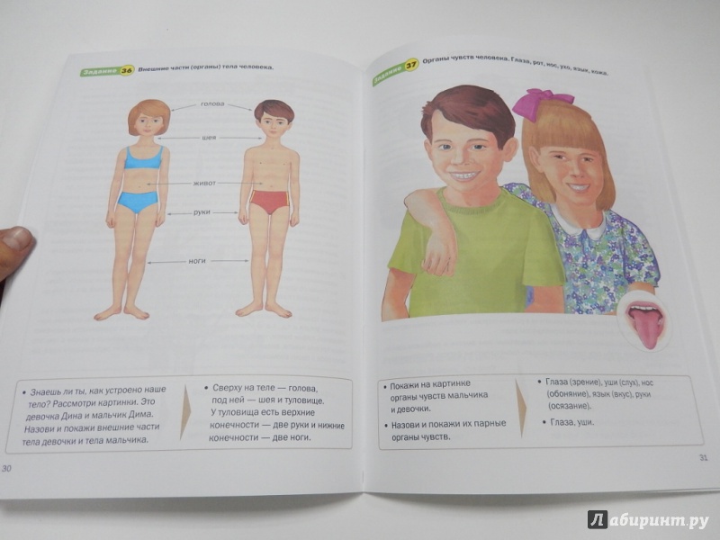 Иллюстрация 6 из 6 для Обучение математике. Для занятий с детьми 3-4 лет. Младшая группа. ФГОС ДО | Лабиринт - книги. Источник: dbyyb
