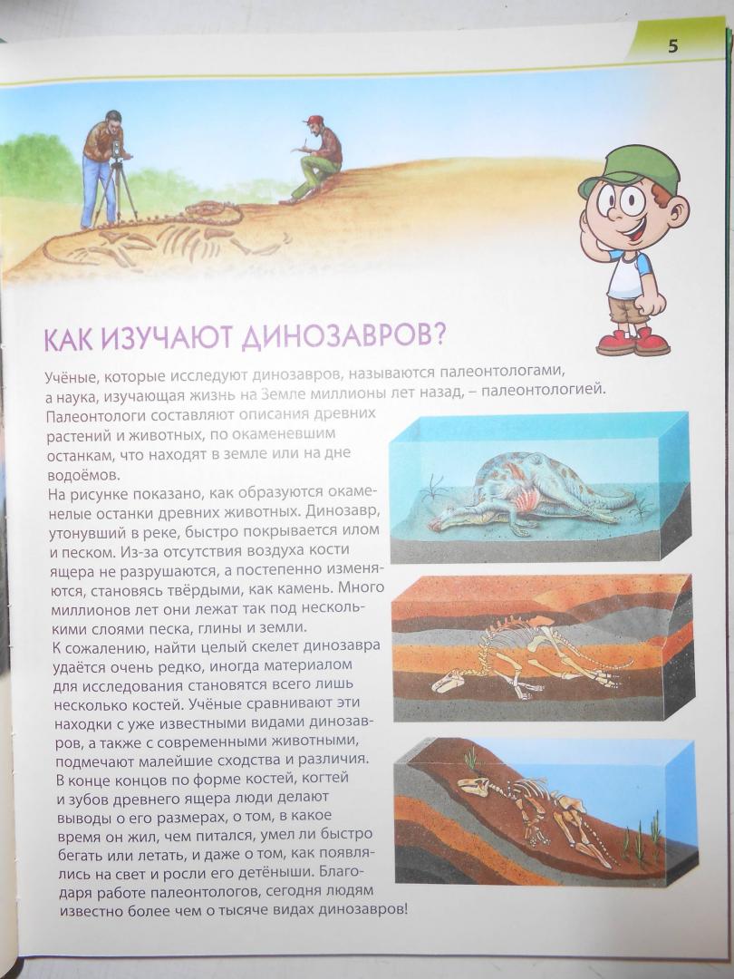 Иллюстрация 11 из 26 для Динозавры. Первая книга с большими буквами - Елена Гриценко | Лабиринт - книги. Источник: Лабиринт