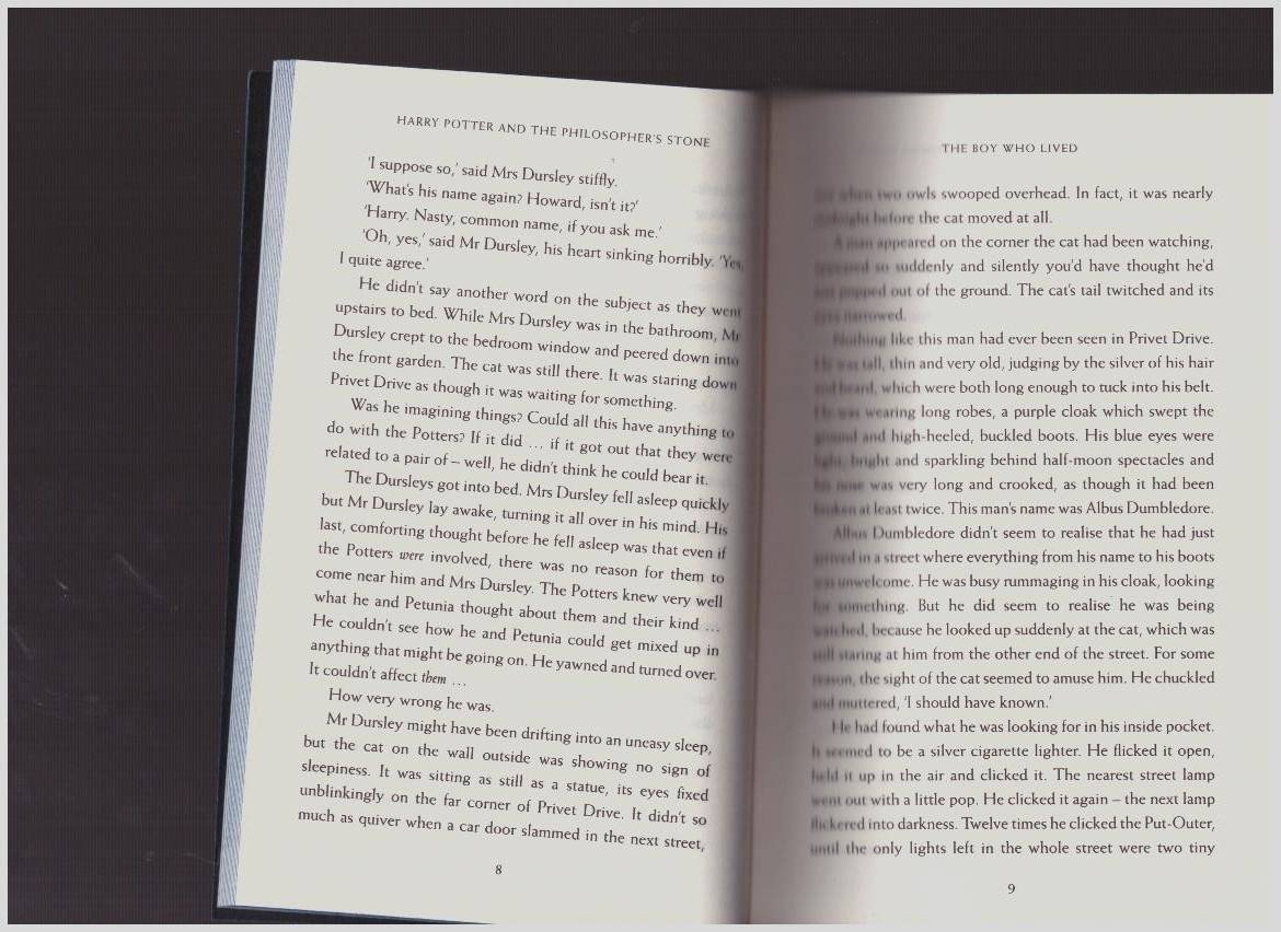 Иллюстрация 25 из 28 для Harry Potter and the Philosopher's Stone - Ravenclaw House Edition - Joanne Rowling | Лабиринт - книги. Источник: LanaEr