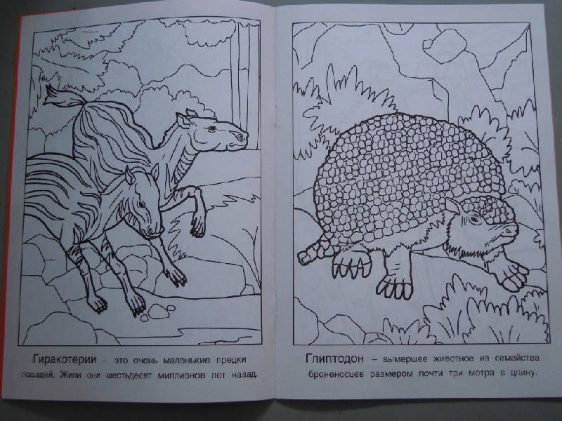Иллюстрация 5 из 7 для Доисторические животные | Лабиринт - книги. Источник: Iwolga