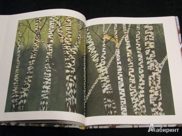 Иллюстрация 42 из 49 для Лесные разведчики - Виталий Бианки | Лабиринт - книги. Источник: Nemertona