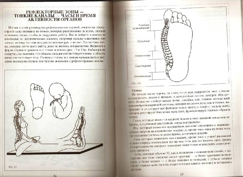 Иллюстрация 1 из 3 для Рефлексология: древнее искусство массажа ступней - Габриэла Аль-Шамали | Лабиринт - книги. Источник: Kaplan  Irma