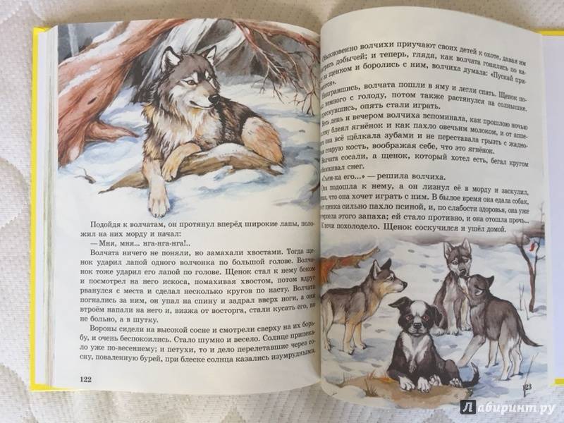 Иллюстрация 3 из 55 для Сказки о животных для малышей - Мамин-Сибиряк, Толстой, Ушинский | Лабиринт - книги. Источник: Gerra