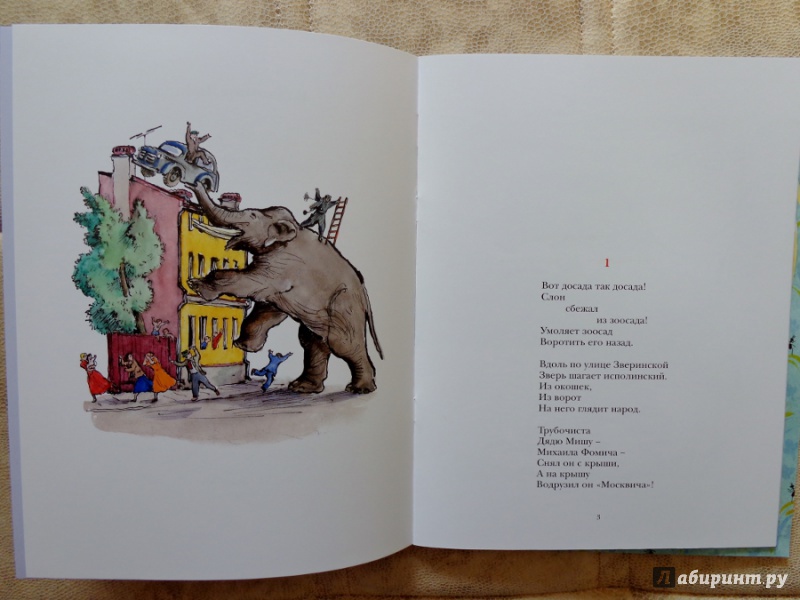 Иллюстрация 6 из 36 для Слон и Зоя - Владимир Лифшиц | Лабиринт - книги. Источник: Матти Суоми