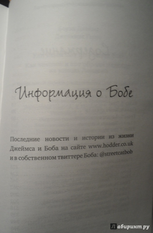 Иллюстрация 43 из 97 для Уличный кот по имени Боб. Как человек и кот обрели надежду на улицах Лондона - Боуэн, Дженкинс | Лабиринт - книги. Источник: Kerch