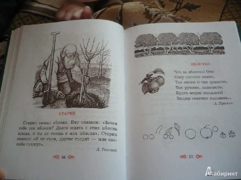 Иллюстрация 32 из 46 для Первое словечко. Хрестоматия для детей | Лабиринт - книги. Источник: angela_kvitka
