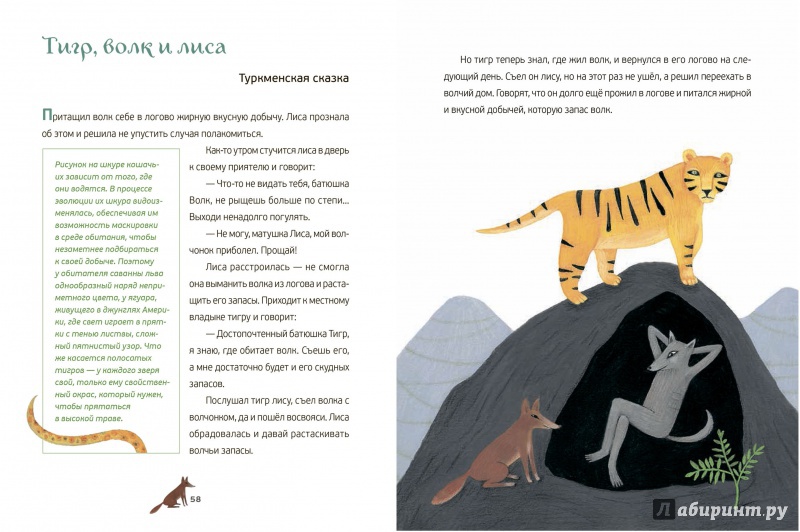 Иллюстрация 4 из 5 для Сказки диких зверей | Лабиринт - книги. Источник: Михайлова  Ольга