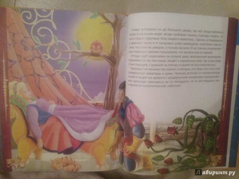 Иллюстрация 17 из 22 для Волшебные сказки Шарля Перро - Шарль Перро | Лабиринт - книги. Источник: Чайковская  Евгения