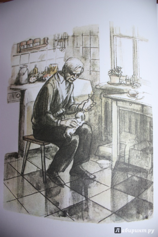 Иллюстрация 70 из 113 для Белый Бим Черное ухо - Гавриил Троепольский | Лабиринт - книги. Источник: Bradbury
