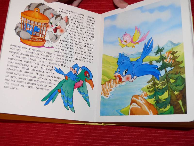 Иллюстрация 29 из 48 для Сказки о зверятах. Окошко в лес | Лабиринт - книги. Источник: OliaO