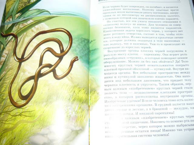 Иллюстрация 11 из 49 для Жизнь в пресной воде - Сергей Афонькин | Лабиринт - книги. Источник: Ромашка:-)