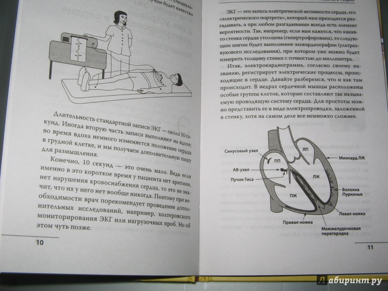 Иллюстрация 4 из 10 для О чем расскажет ЭКГ - Антон Родионов | Лабиринт - книги. Источник: Alonka