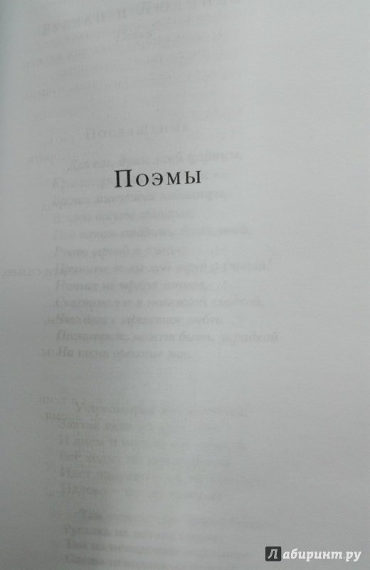 Иллюстрация 13 из 22 для Стихотворения - Александр Пушкин | Лабиринт - книги. Источник: NiNon