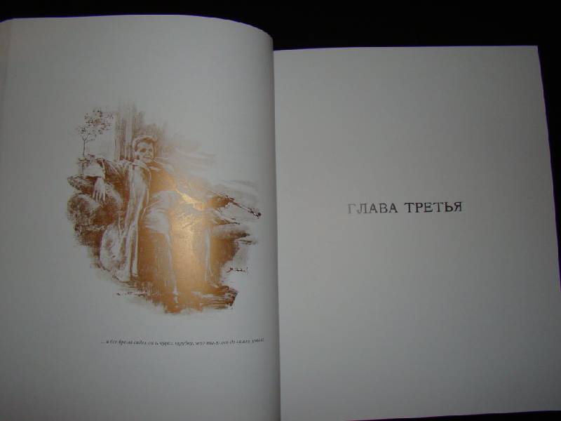Иллюстрация 17 из 23 для Мертвые души - Николай Гоголь | Лабиринт - книги. Источник: Братец Лис
