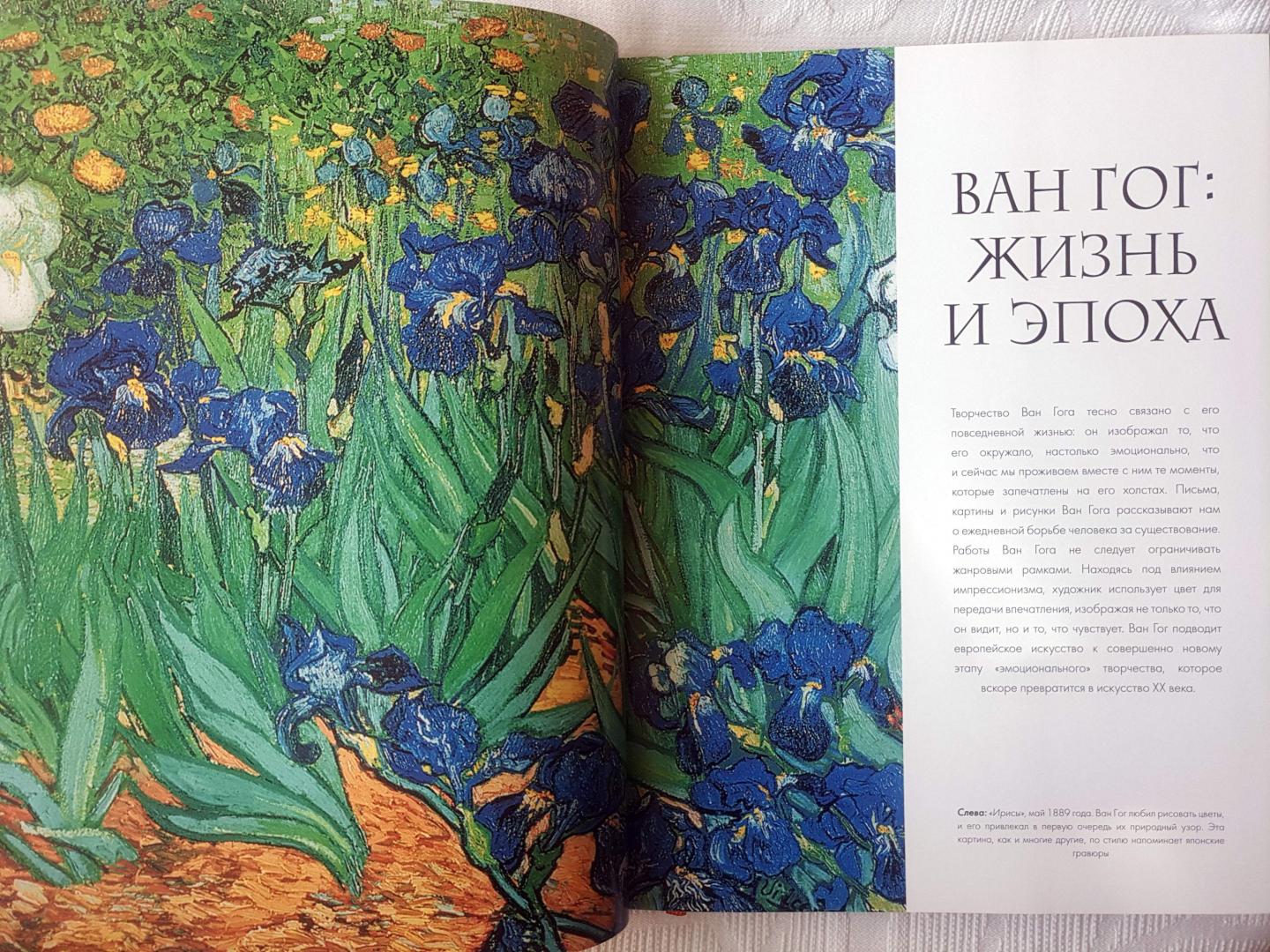 Иллюстрация 7 из 32 для Ван Гог. Жизнь и творчество в 500 картинах | Лабиринт - книги. Источник: angelic