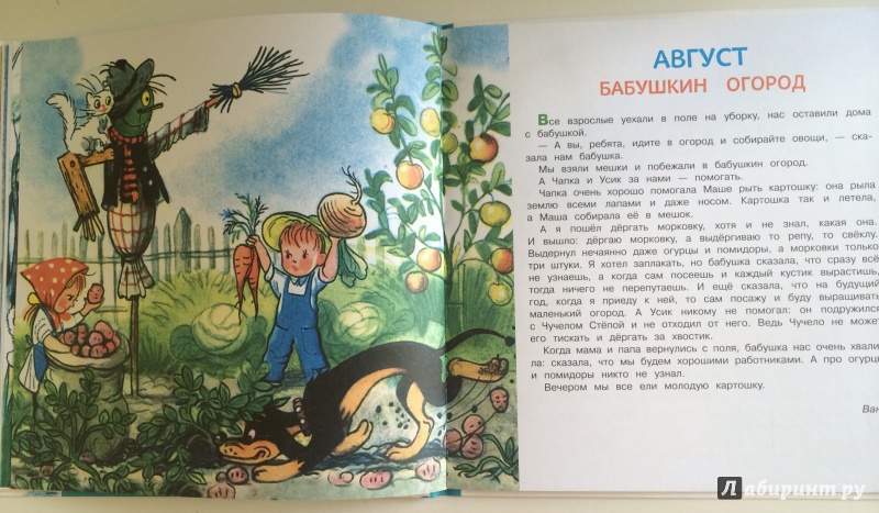 Иллюстрация 11 из 41 для Времена года - Владимир Сутеев | Лабиринт - книги. Источник: Ksenast