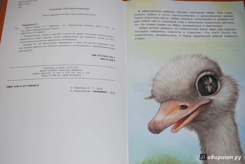 Иллюстрация 6 из 31 для Заботы страуса - Лариса Тарасенко | Лабиринт - книги. Источник: Нади