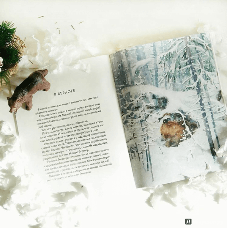 Иллюстрация 61 из 64 для Зима в лесу - Иван Соколов-Микитов | Лабиринт - книги. Источник: Лабиринт