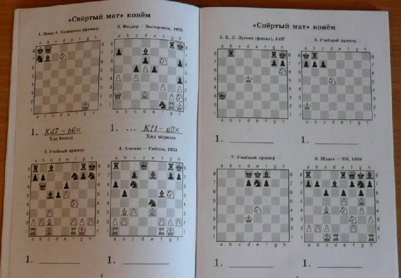 Иллюстрация 3 из 18 для 1000 шахматных задач. Решебник. 1 год - Костров, Рожков | Лабиринт - книги. Источник: Pam