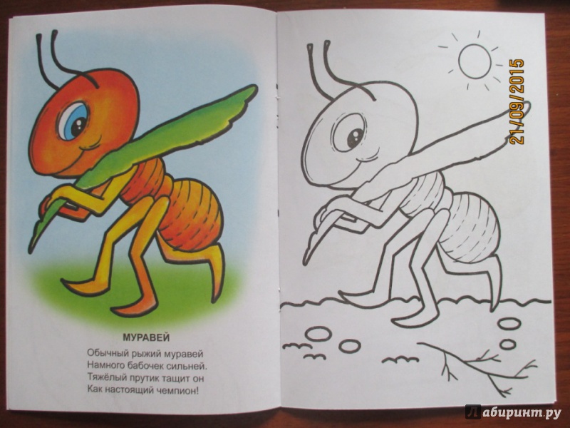Иллюстрация 15 из 20 для Знаешь ли ты насекомых? - Наталья Томилина | Лабиринт - книги. Источник: Марина Епифанцева