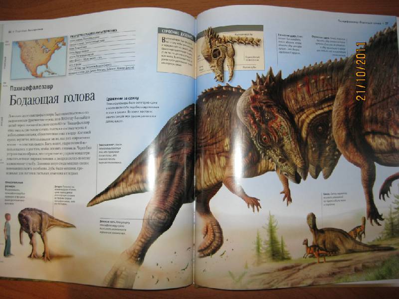 Иллюстрация 13 из 14 для Динозавры - Джон Лонг | Лабиринт - книги. Источник: Гилева  Любовь Валерьевна